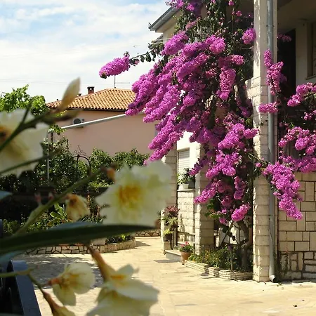 Apartman Rosa