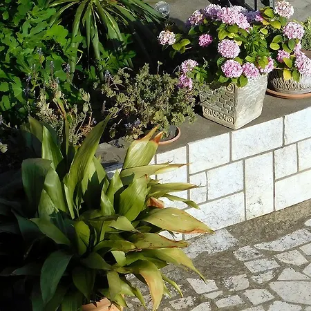 Apartman Rosa *