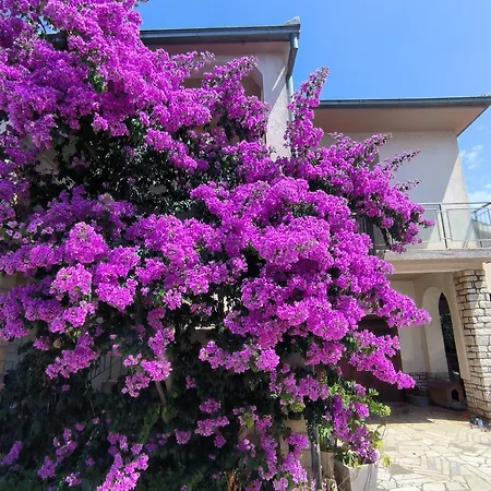 Apartman Rosa *