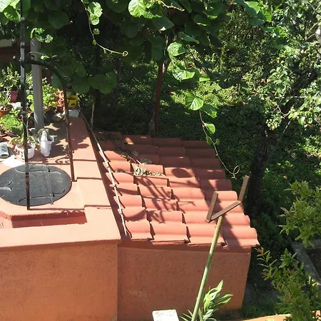 Apartman Rosa
