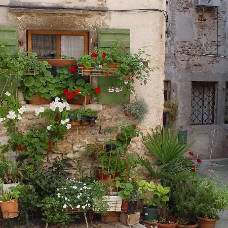 Rosa * Rovinj